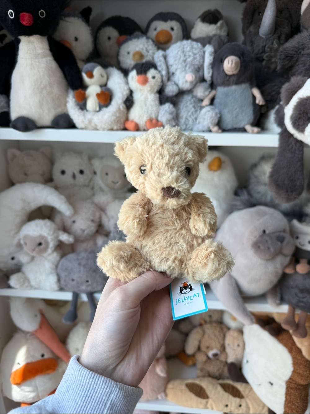 NWT Jellycat Yummy Bear